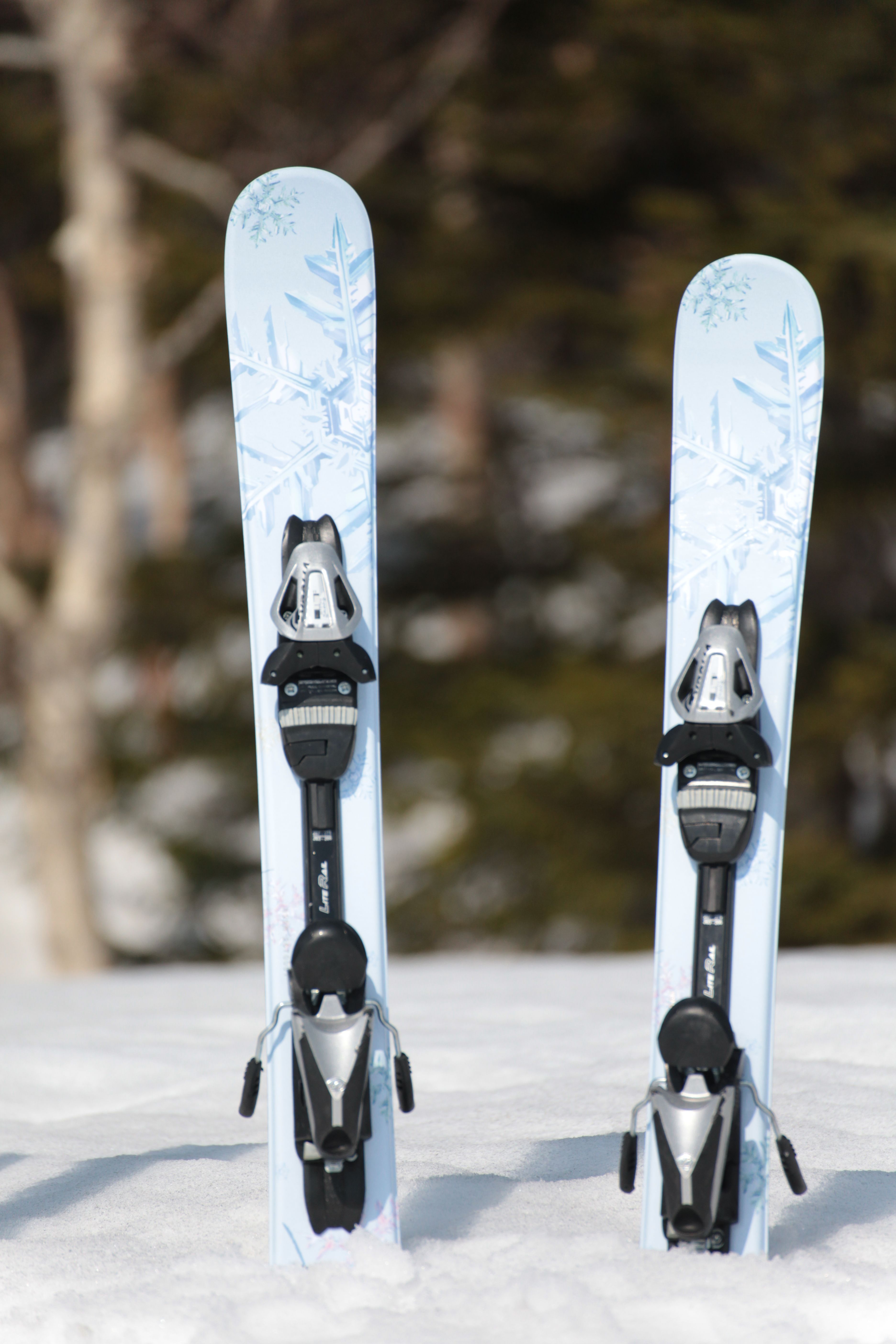 2015GRスキーボードモニター募集（モニター期間2/11まで） | スキーボード専門ブランド「GR ski life」